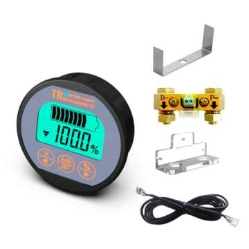 Efficient Battery Monitoring with AiLi Voltmeter 100V 350A