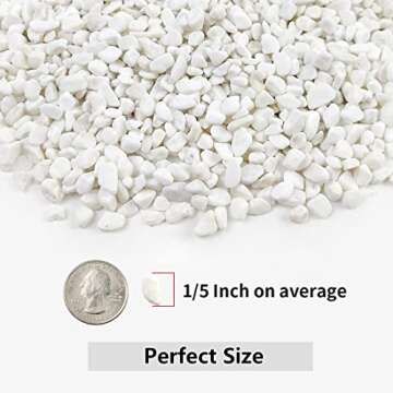 YISZM 2LB Succulent and Cactus Gravel Pebbles, 1/5 Inch White Natural Decorative Polished Stones, Ri...