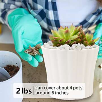 YISZM 2LB Succulent and Cactus Gravel Pebbles, 1/5 Inch White Natural Decorative Polished Stones, River Rocks for Plants, Vases, Aquariums, Terrarium and Outdoor Gardening,White