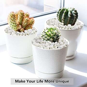 YISZM 2LB Succulent and Cactus Gravel Pebbles, 1/5 Inch White Natural Decorative Polished Stones, River Rocks for Plants, Vases, Aquariums, Terrarium and Outdoor Gardening,White