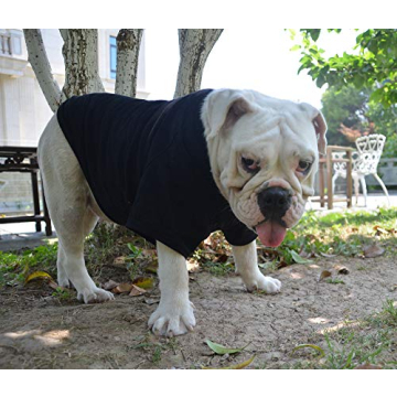 Lovelonglong Bulldog T-Shirt for Pugs & Bulldogs 100% Cotton