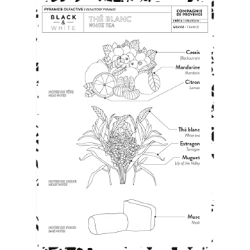 Luxurious Compagnie de Provence Liquid Soap - 10 Fl Oz