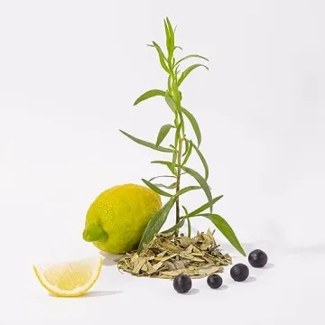 Luxurious Compagnie de Provence Liquid Soap - 10 Fl Oz