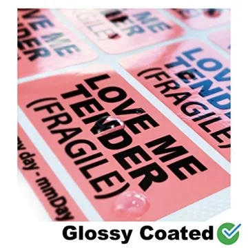 mmDay 200 Pieces Pink Fragile Stickers for Shipping