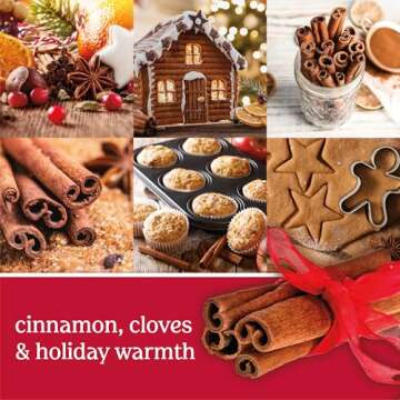 Yankee Candle Sparkling Cinnamon 22oz Classic Jar