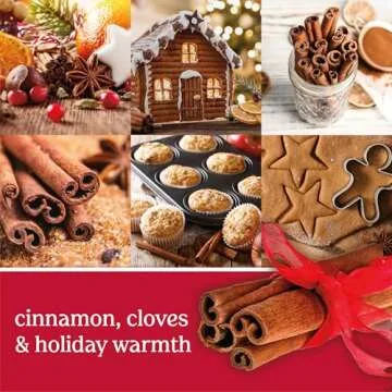 Yankee Candle Sparkling Cinnamon 22oz Classic Jar