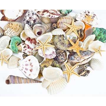 Famoby Sea Shells Mixed Beach Seashells Starfish for Beach Theme Party Wedding Decorations DIY Craft...