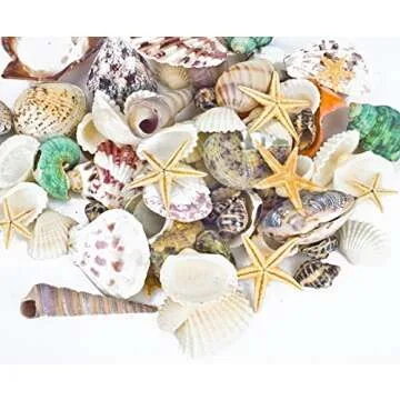 Famoby Sea Shells Mixed Beach Seashells Starfish for Beach Theme Party Wedding Decorations DIY Craft...