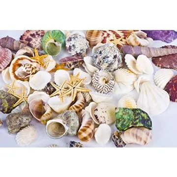 Famoby Sea Shells Mixed Beach Seashells Starfish for Beach Theme Party Wedding Decorations DIY Crafts Candle Making Fish Tank Vase Fillers Home Decorations Supplies 70+ pcs