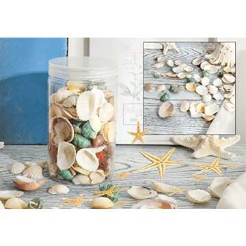 Famoby Sea Shells Mixed Beach Seashells Starfish for Beach Theme Party Wedding Decorations DIY Crafts Candle Making Fish Tank Vase Fillers Home Decorations Supplies 70+ pcs