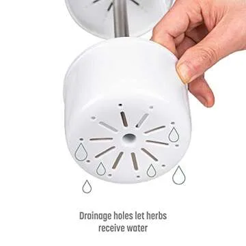 Goodful Herb Keeper Preserver for Fresh Herbs