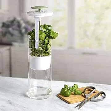 Goodful Herb Keeper Preserver for Fresh Herbs