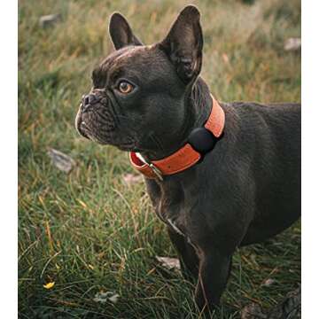 SWINCHO Airtag Dog Collar Holder 2 Pack Durable Airtag Holders Securely Attach to Dog Collars for GP...