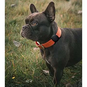 SWINCHO Airtag Dog Collar Holder 2 Pack Durable Airtag Holders Securely Attach to Dog Collars for GP...