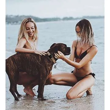 SWINCHO Airtag Dog Collar Holder 2 Pack Durable Airtag Holders Securely Attach to Dog Collars for GPS Tracking Apple Air Tags Holder for Pet Collar (2xBlack)