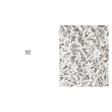 Robert Voit: The Alphabet of New Plants Gift Book