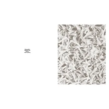 Robert Voit: The Alphabet of New Plants Gift Book