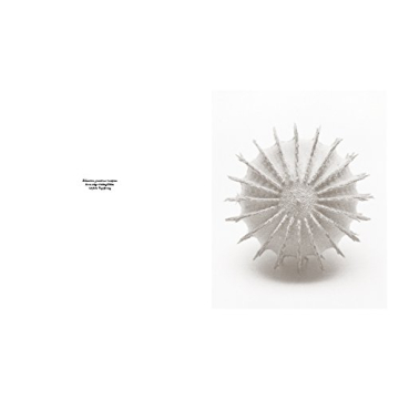 Robert Voit: The Alphabet of New Plants Gift Book