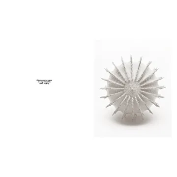 Robert Voit: The Alphabet of New Plants Gift Book