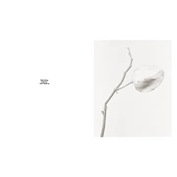 Robert Voit: The Alphabet of New Plants Gift Book