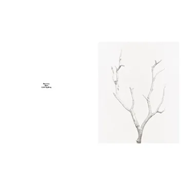 Robert Voit: The Alphabet of New Plants Gift Book