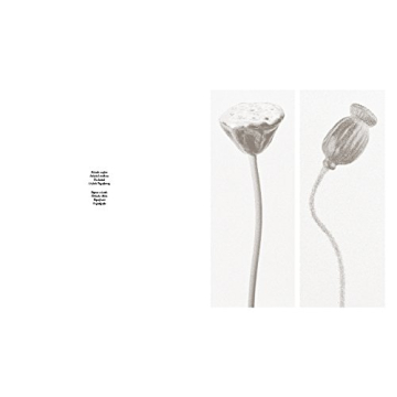 Robert Voit: The Alphabet of New Plants Gift Book