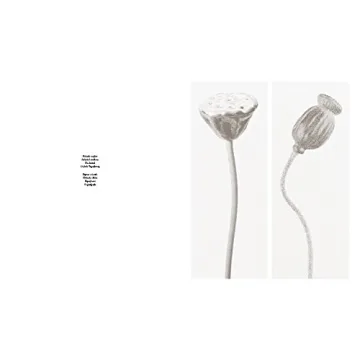 Robert Voit: The Alphabet of New Plants Gift Book