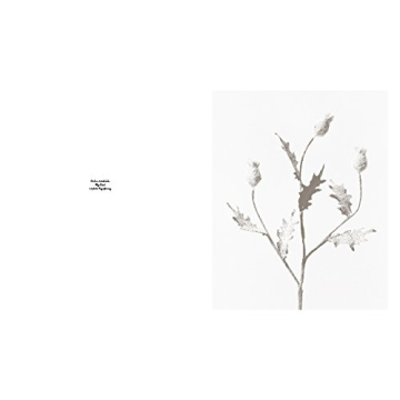 Robert Voit: The Alphabet of New Plants Gift Book