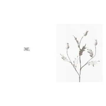 Robert Voit: The Alphabet of New Plants Gift Book