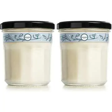 Mrs. Meyer's Snowdrop Aromatherapy Candles, 2-Pack