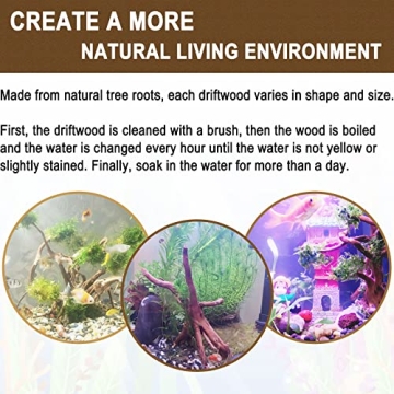 Enhance Your Aquarium with Kathson Driftwood Decorations