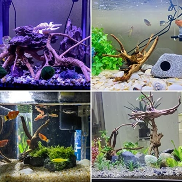Enhance Your Aquarium with Kathson Driftwood Decorations