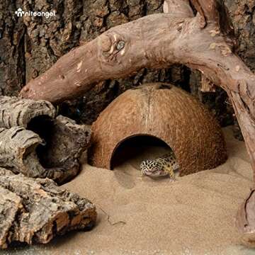 Niteangel 2 Pack Natural Coconut Reptile Hideouts, Lizard, Spider and Aquarium Fish Hide Cave (Natur...