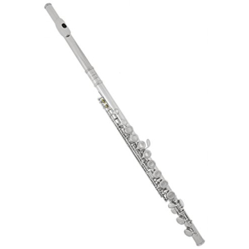 Quality Lazarro Professional C Flute with Care Kit