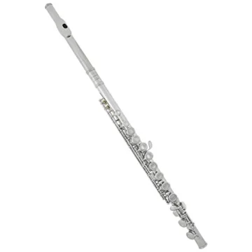 Quality Lazarro Professional C Flute with Care Kit