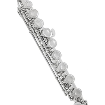 Quality Lazarro Professional C Flute with Care Kit