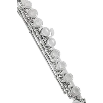 Quality Lazarro Professional C Flute with Care Kit