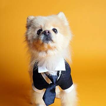 Savage Seamless Paper Backdrop - Marmalade - 53" x 36'