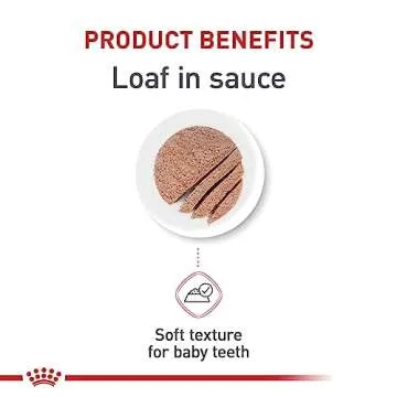 Royal Canin Feline Health Nutrition Kitten Loaf in Sauce Canned Cat Food, 3 oz can (Pack of 24)
