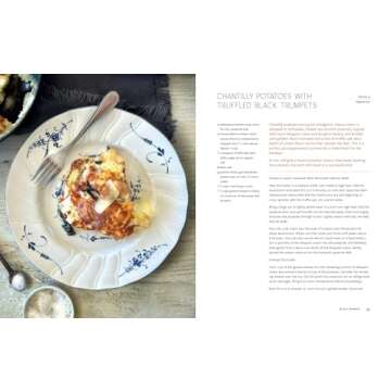 Mushroom Gastronomy: Explore Cooking with Mushrooms