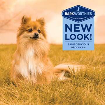 Barkworthies Bully Stick Bites - 10 oz (Pack of 1) - Protein-Rich, All-Natural Rawhide Alternative, Easily Digestible, Promotes Dental Health