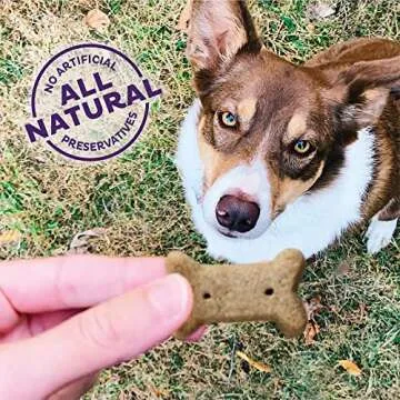 Old Mother Hubbard by Wellness Classic Just Vegg'N Natural Dog Treats, Crunchy Oven-Baked Biscuits, Ideal for Training, Small Size, 3.3 pound bag