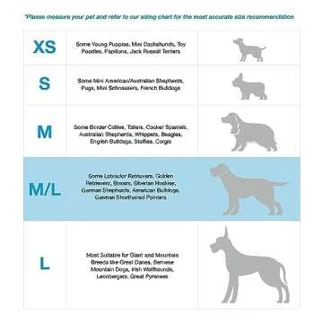 Blue-9 Adjustable No-Pull Dog Harness for Training