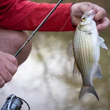 Temple Fork Outfitters (TFO) Trout-Panfish Lightweight Portable Fast Action Freshwater Fishing Rod 5'6'' UL 1pc.