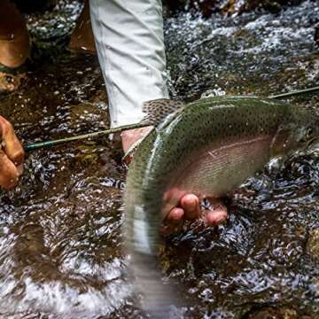 Temple Fork Outfitters (TFO) Trout-Panfish Lightweight Portable Fast Action Freshwater Fishing Rod 5'6'' UL 1pc.