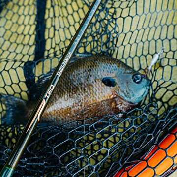 Temple Fork Outfitters (TFO) Trout-Panfish Lightweight Portable Fast Action Freshwater Fishing Rod 5'6'' UL 1pc.