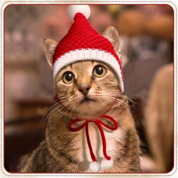 Dansydaisy Christmas Knitted Dog Hats 4 Pack Warm Winter