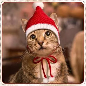 Dansydaisy Christmas Knitted Dog Hats 4 Pack Warm Winter