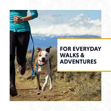 Ruffwear Classic Dog Collar, Medium Sized Breeds, Adjustable Fit, Size: Medium (36-51 cm/14-20 in), Blue Mountains, Hoopie Collar, 25203-9021420