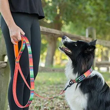 Leash Boss 6ft Dog Leash | Ultra Comfort Double-Thick Soft Padded Handle | Reflective Leash for Large Dogs, Medium Dogs | Heavy Duty Leash for Large Breed Dogs | Nylon Leash for Small Dogs/Puppies